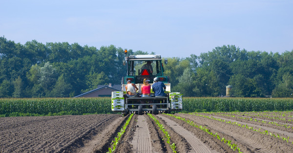 Da Inail un approfondimento sugli infortuni mortali in agricoltura