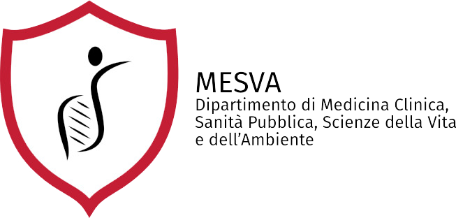 logo-mesva.png
